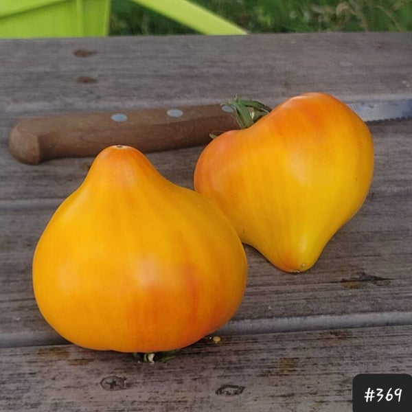 Tante Gretels Magische Hüte