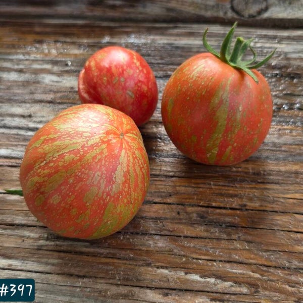 Justin's Fire Opal
