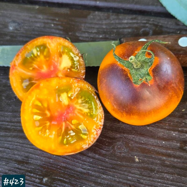 Clementine Bleue