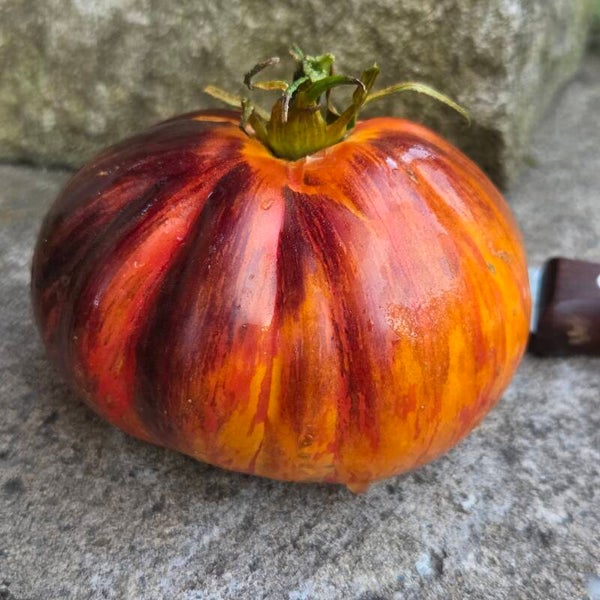 Fiery Turban