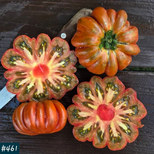 Fleur de Reagir