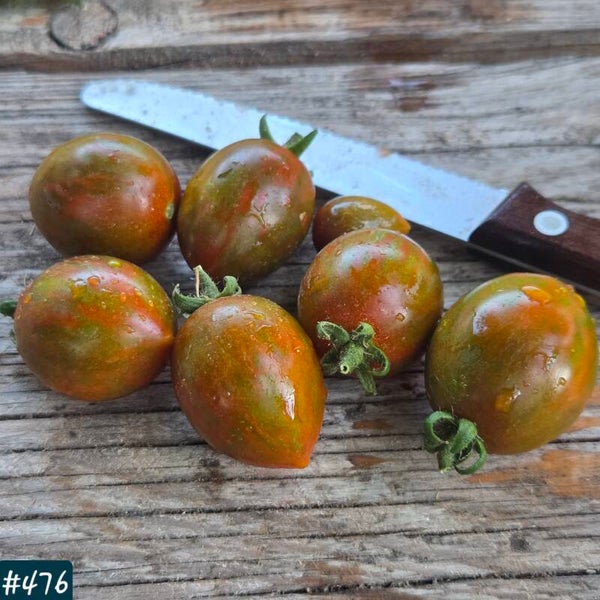 Striped Cherry Chocolate