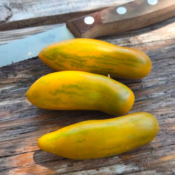 Green Sausage