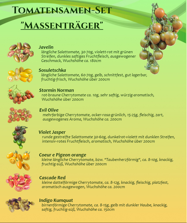 Sortenset "Massenträger"