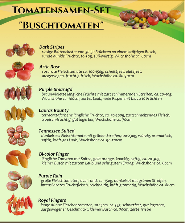Sortenset "Buschtomaten"