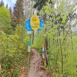 20230430_110228.jpg