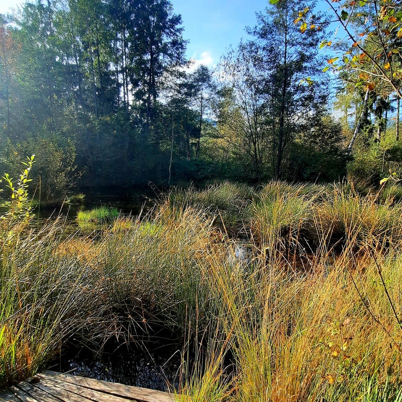 20211002_101644.jpg