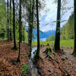 20230430_103538.jpg