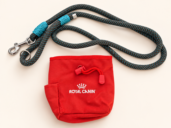 Laisse et sac porte croquettes