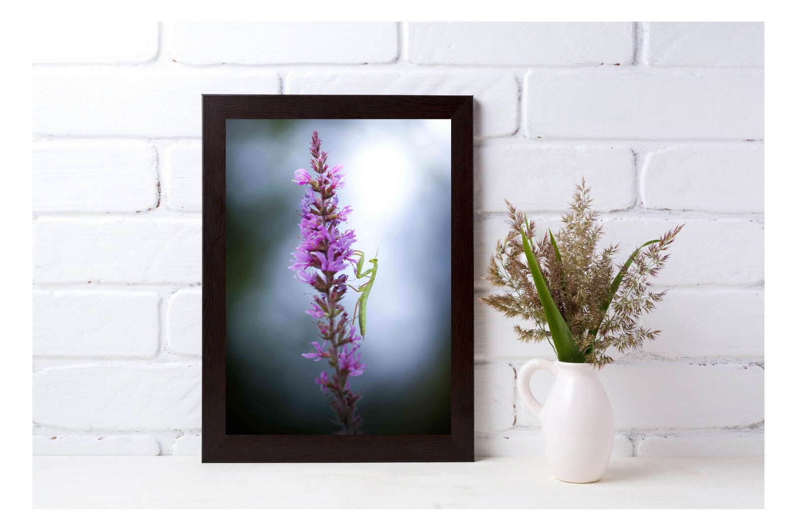 Tirage Photo Professionnel – Mante religieuse