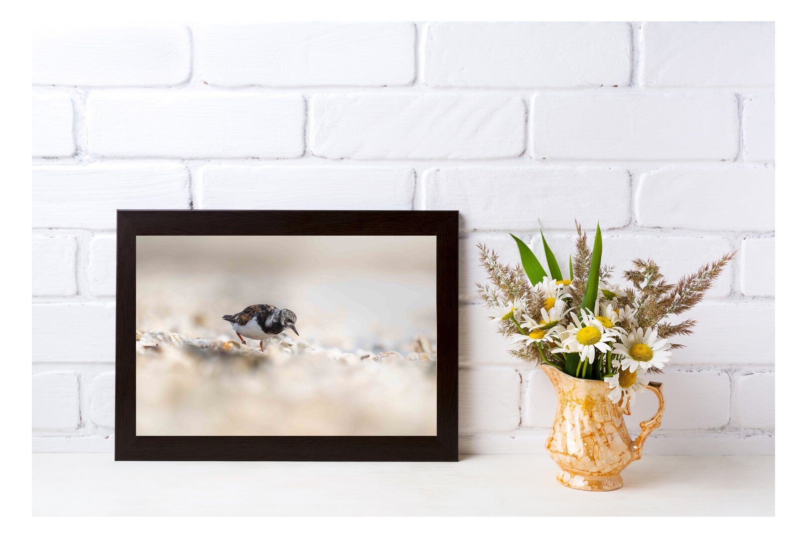 Tirage Photo Professionnel – Tournepierre à collier