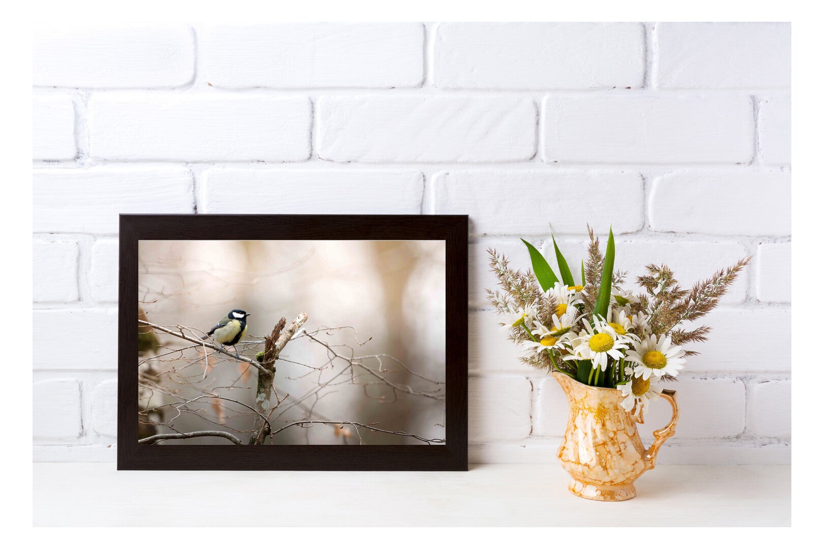 Tirage Photo Professionnel – Mésange charbonnière