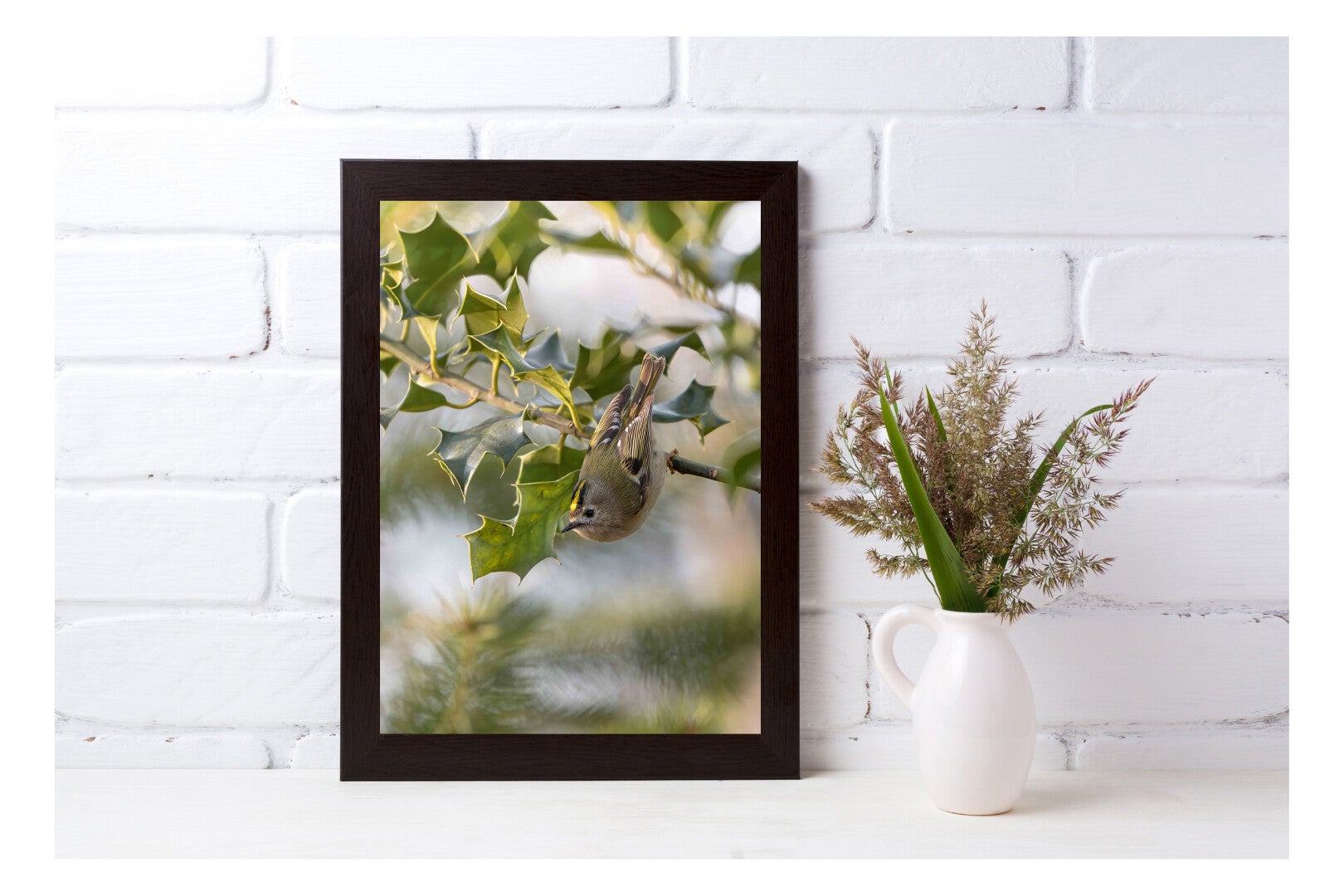 Tirage Photo Professionnel – Roitelet huppé