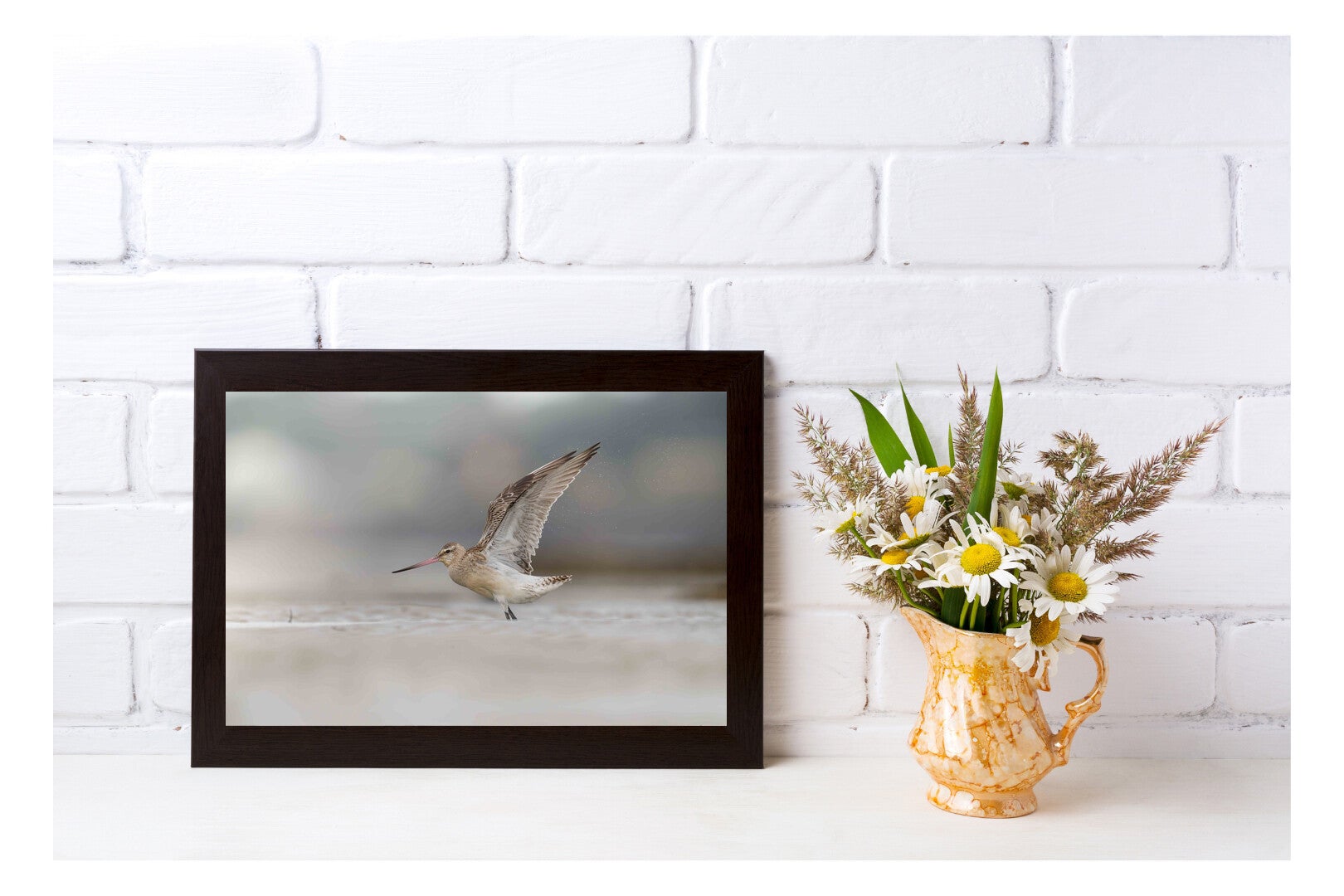 Tirage Photo Professionnel – Barge rousse