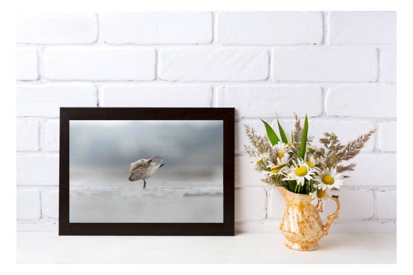 Tirage Photo Professionnel – Barge rousse