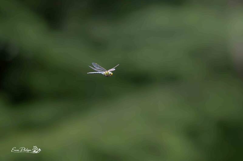 _dsc2553_dxo-standard-mxg0t0.jpg