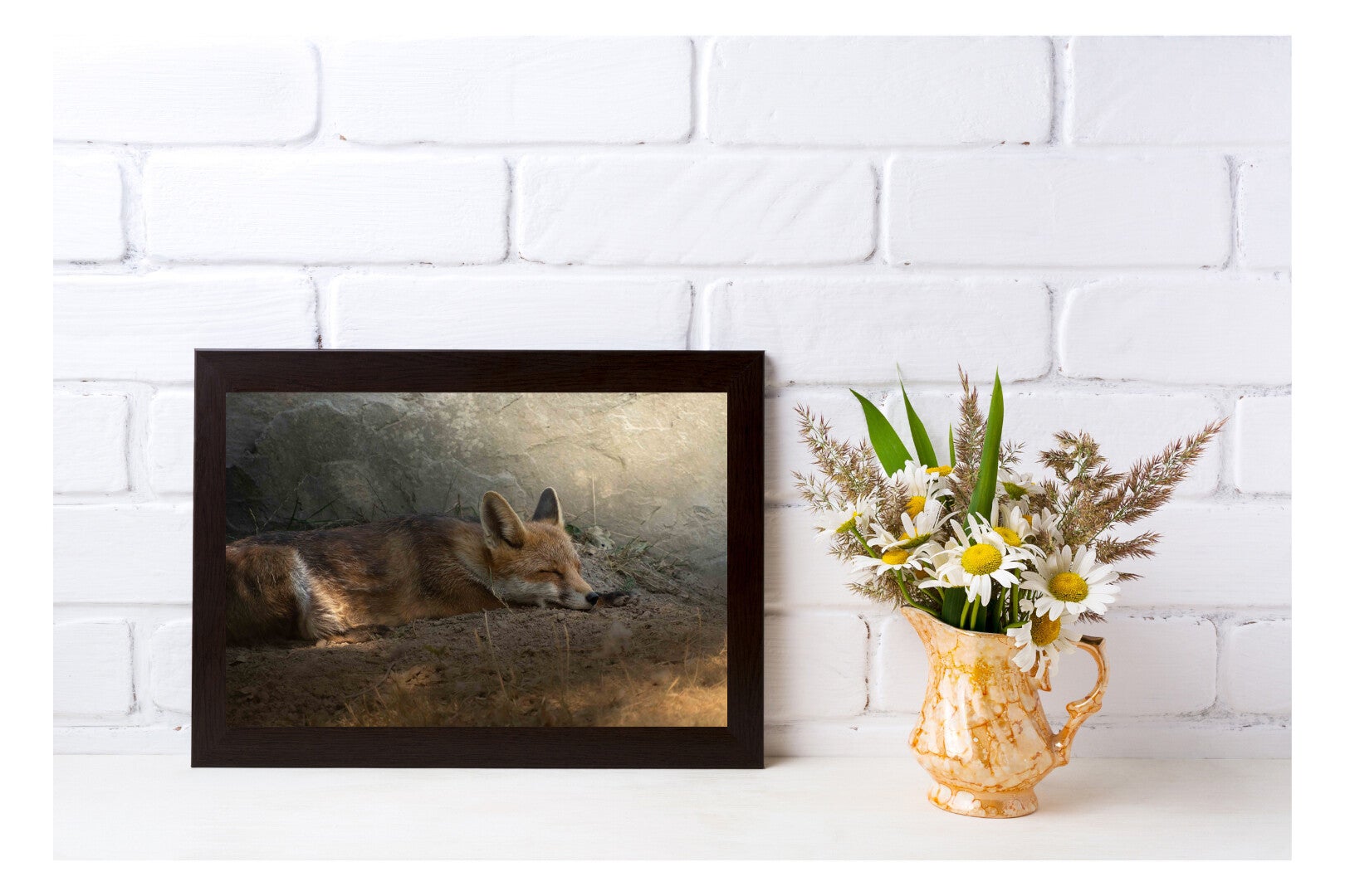 Tirage Photo Professionnel – Renard roux