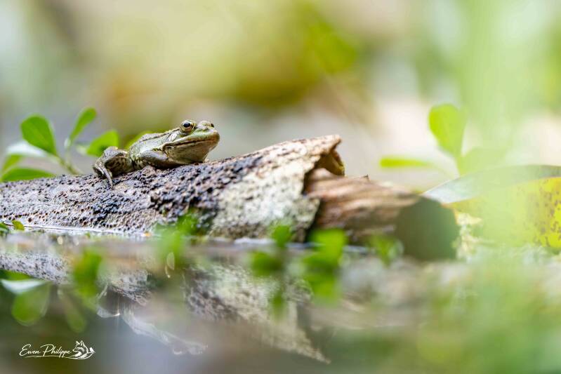 _dsc5475_dxo-standard-naw7q0.jpg