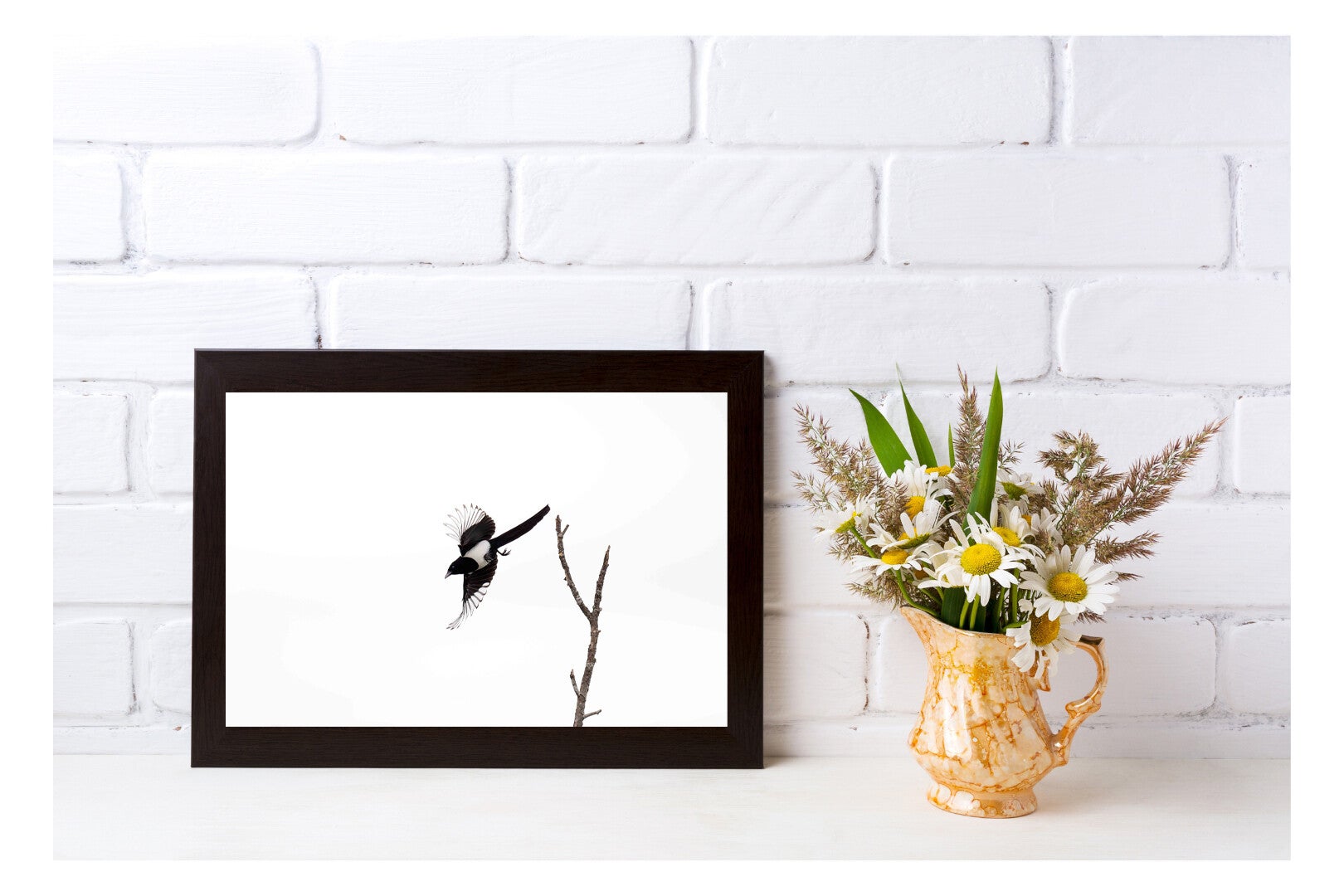 Tirage Photo Professionnel – Pie bavarde