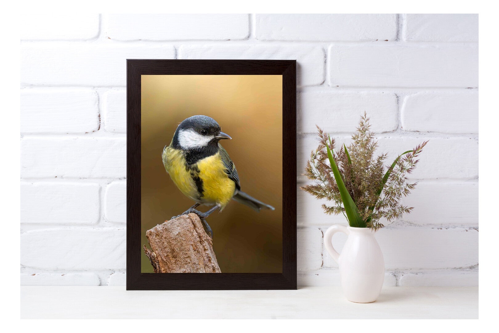 Tirage Photo Professionnel – Mésange charbonnière