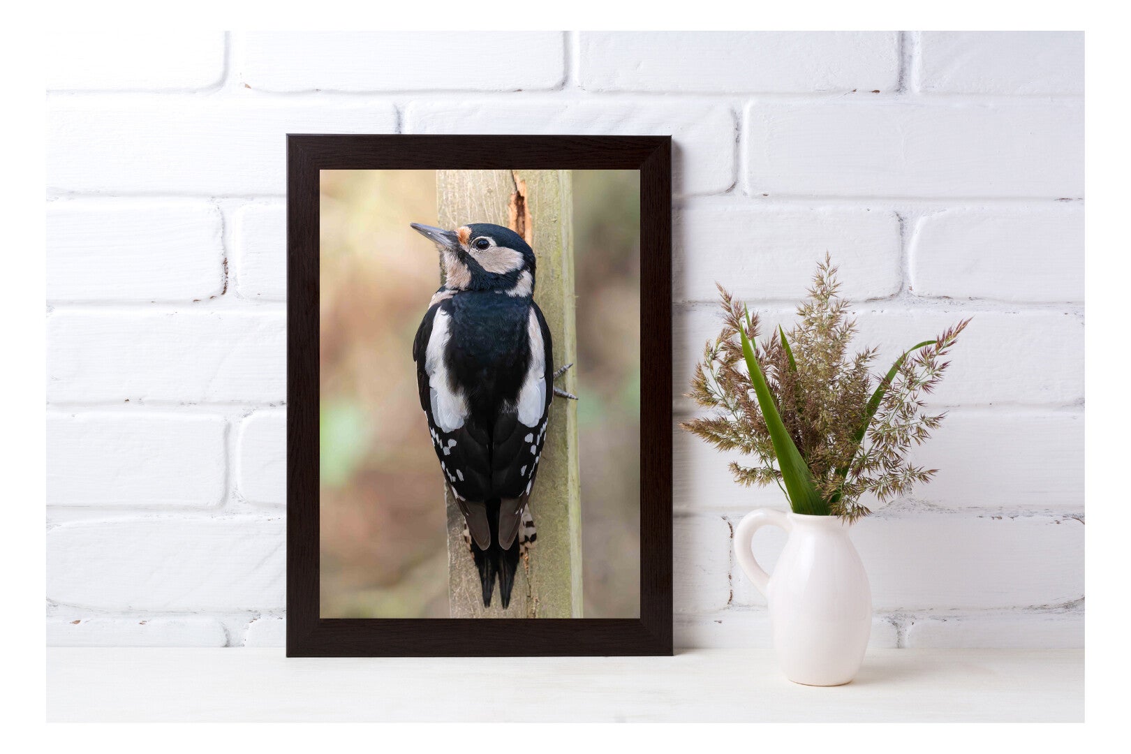 Tirage Photo Professionnel – Pic épeiche