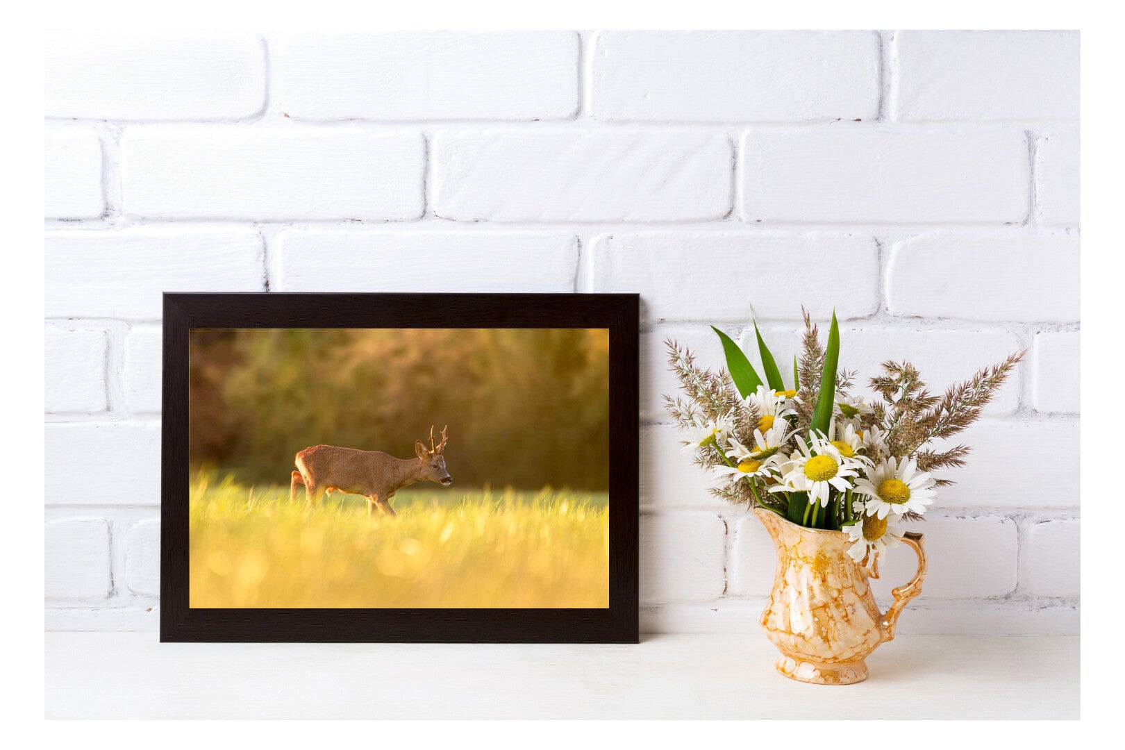 Tirage Photo Professionnel – Chevreuil européen