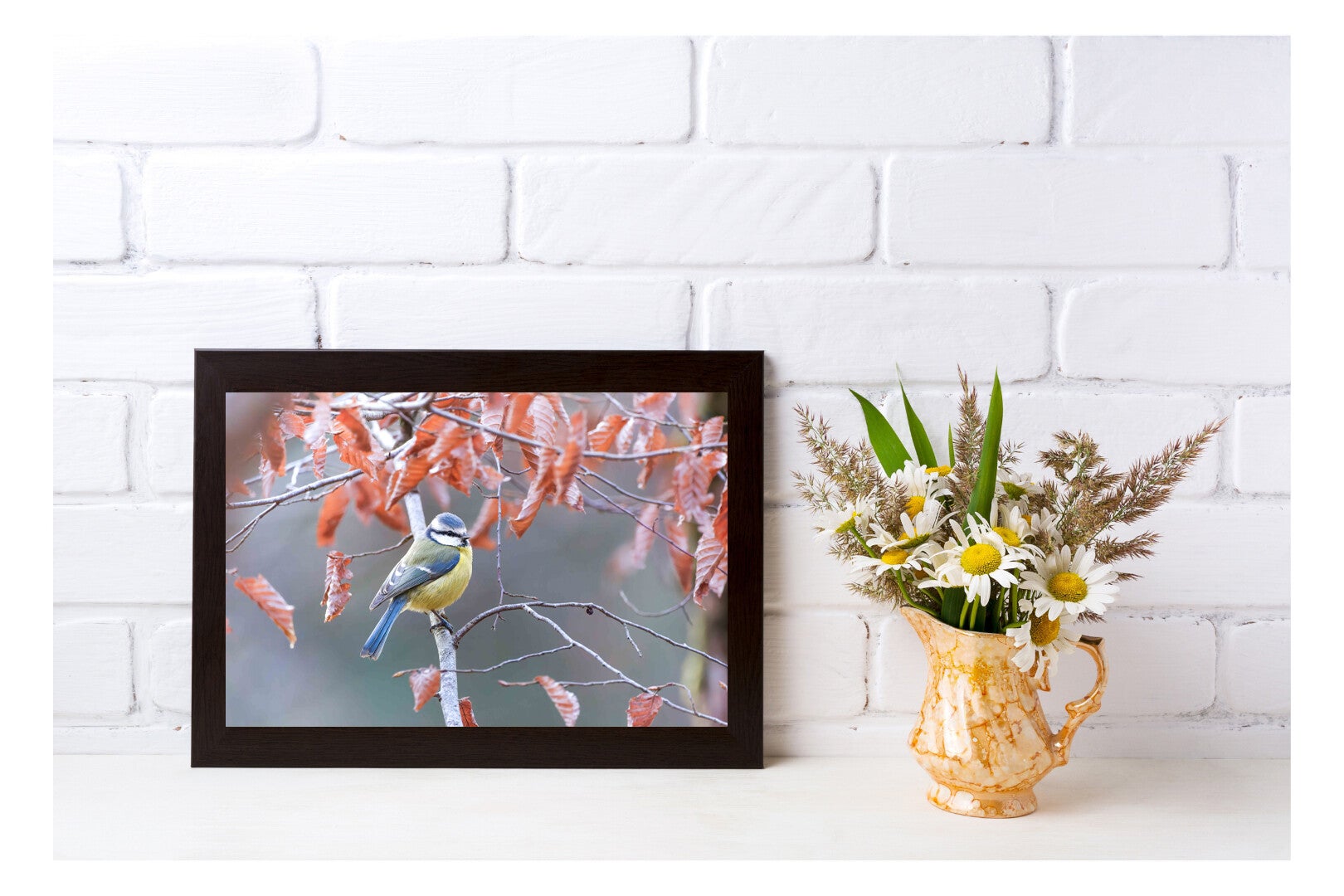 Tirage Photo Professionnel – Mésange bleue