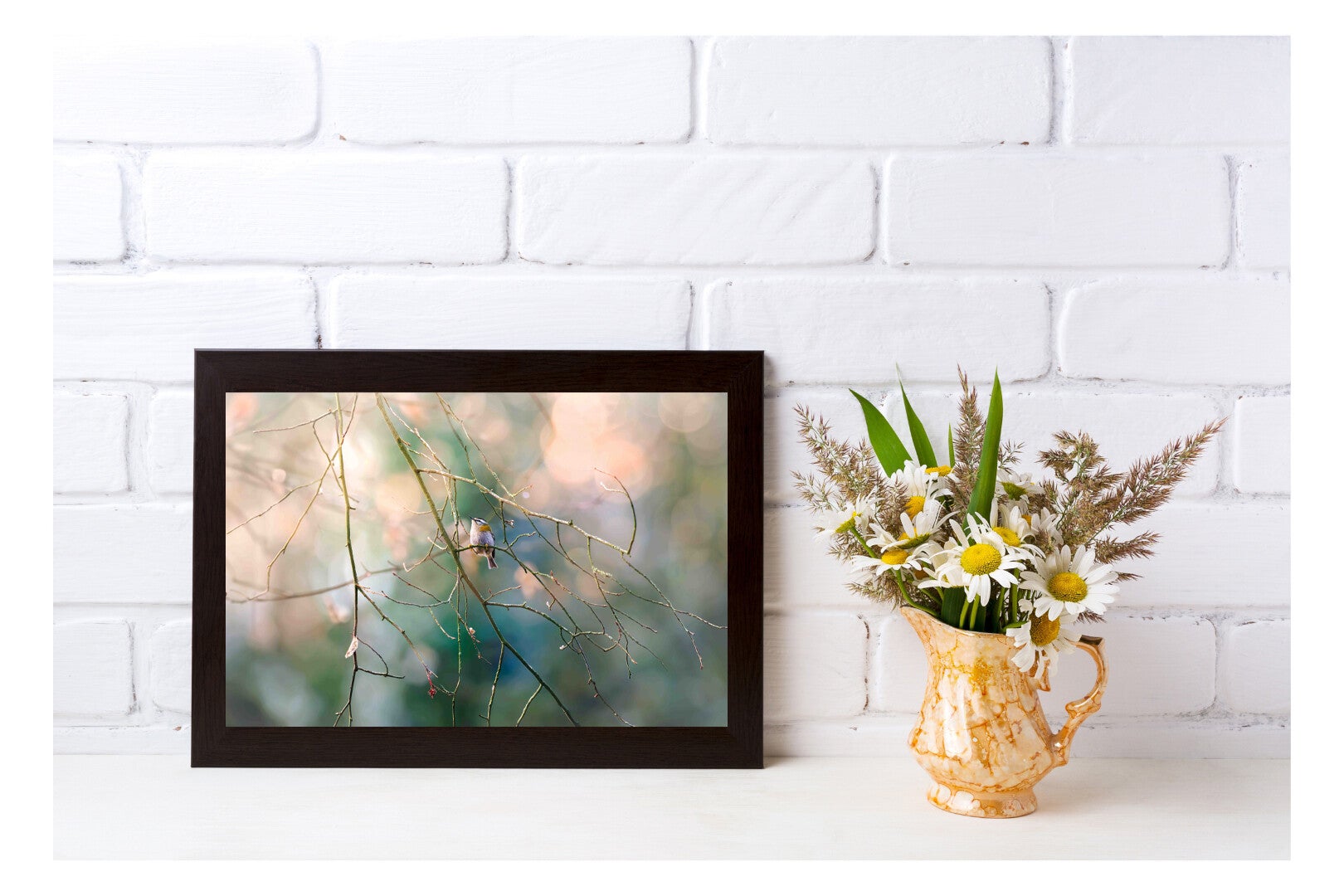 Tirage Photo Professionnel – Roitelet à triple bandeau