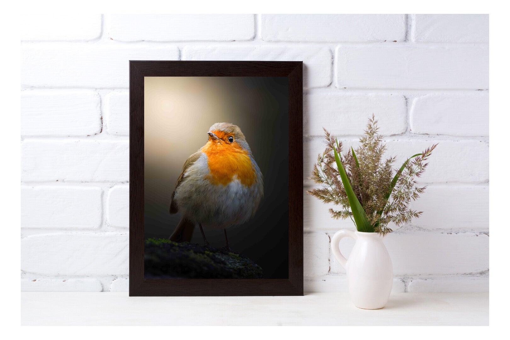 Tirage Photo Professionnel – Rougegorge familier