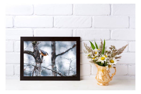 Tirage Photo Professionnel – Sittelle torchepot