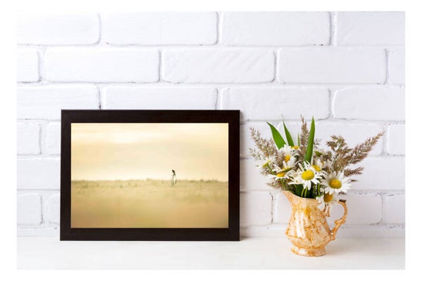 Tirage Photo Professionnel – Bergeronnette printanière