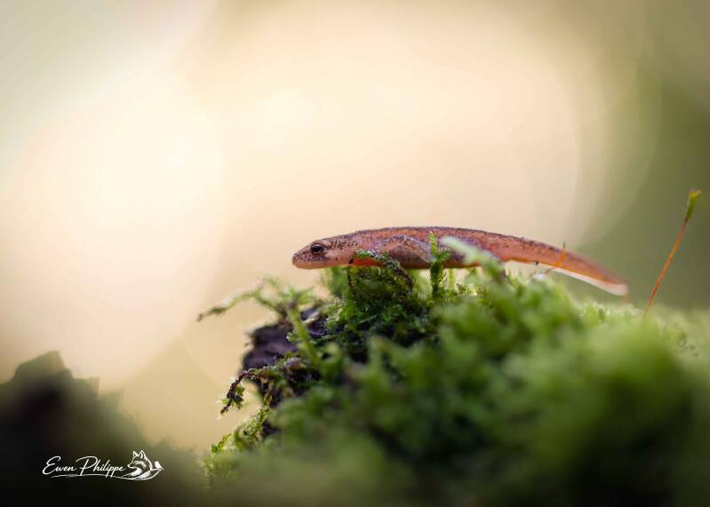 _j9b1117_dxo-1-2-standard-zbzqo9.jpg