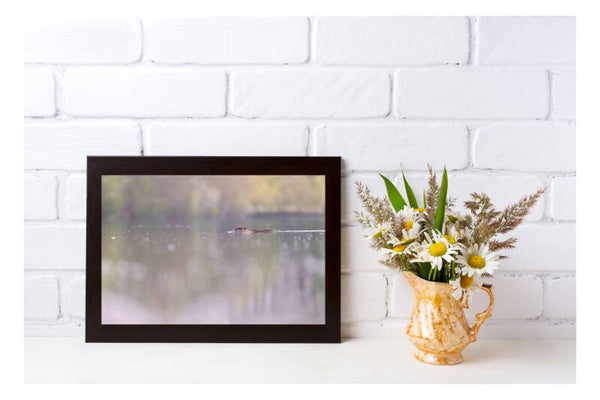 Tirage Photo Professionnel – Ragondin