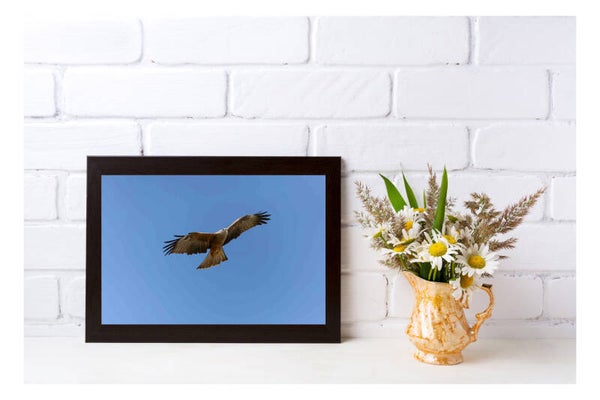 Tirage Photo Professionnel – Milan noir