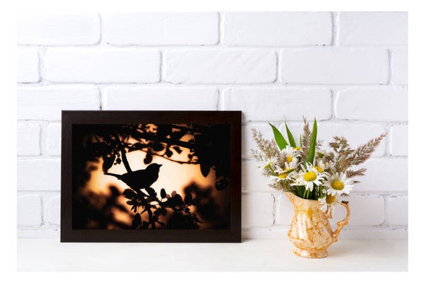 Tirage Photo Professionnel – Moineau domestique