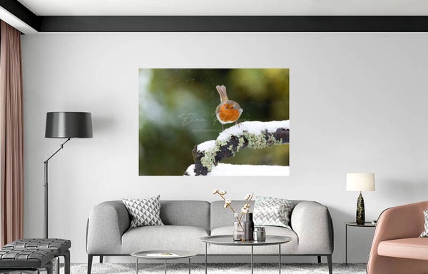 Décoration murale en aluminium | Rouge gorge familier