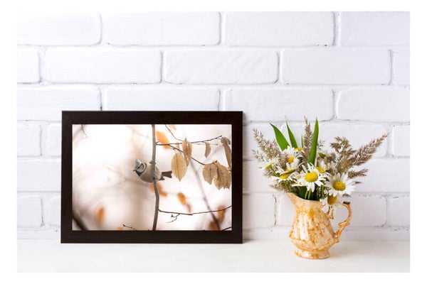 Tirage Photo Professionnel – Mésange huppée