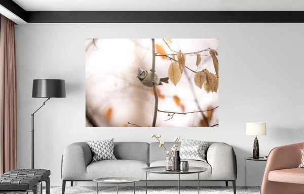 Décoration Murale | Mésange huppée