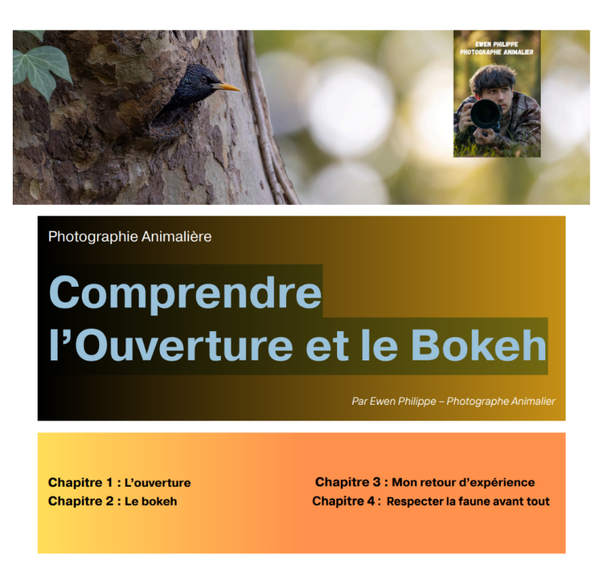 Guide Complet : Comprendre l’Ouverture et le Bokeh
