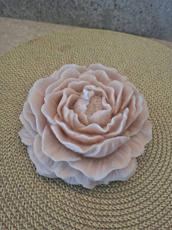 Peonia Grande XXL, Vainilla, Beige