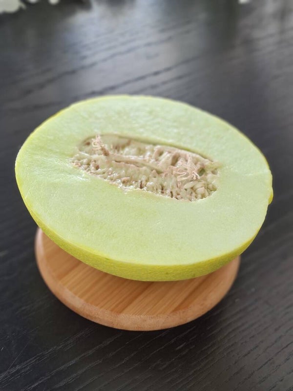 Vela Melón Galia