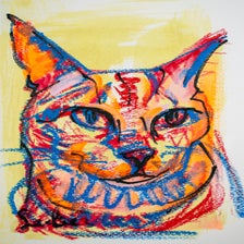 kat-portret-schets-schilderij-blauw-oranje-ii-standard-dau1mc.jpg