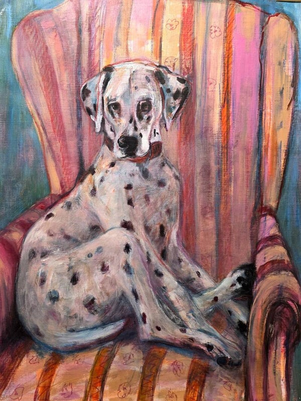 Dalmatiër in een fauteuil