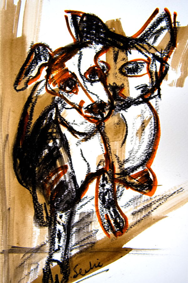 Hond en kitten Hoodie