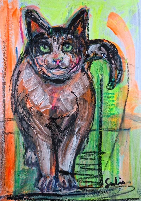 Schildeirj van een kat