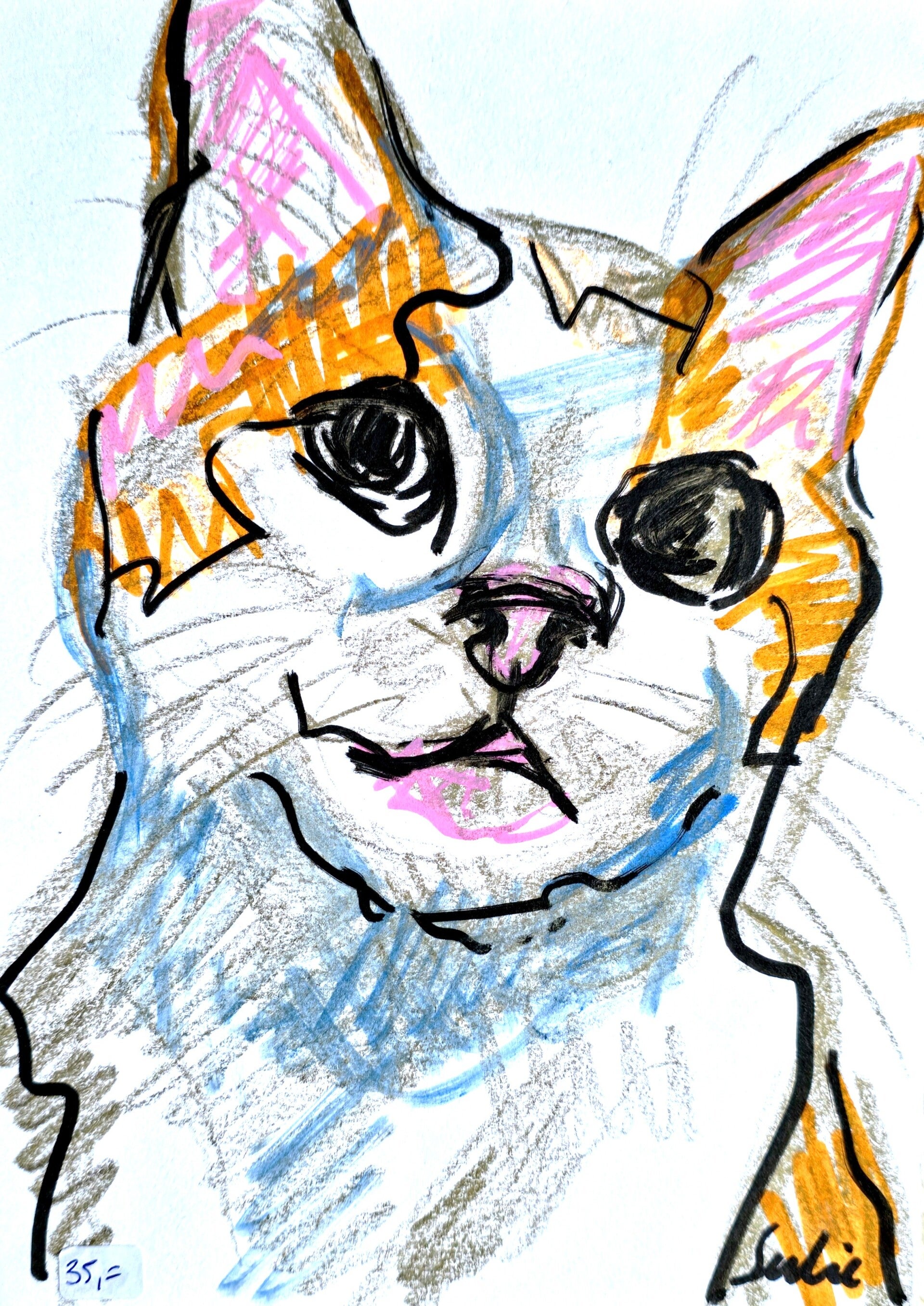 Schets van een kat (XIV)