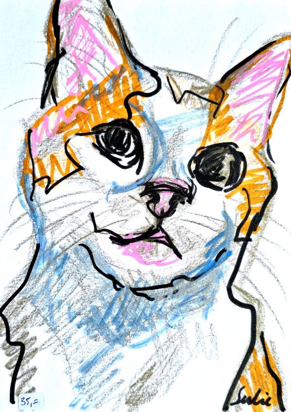 Schets van een kat (XIV)