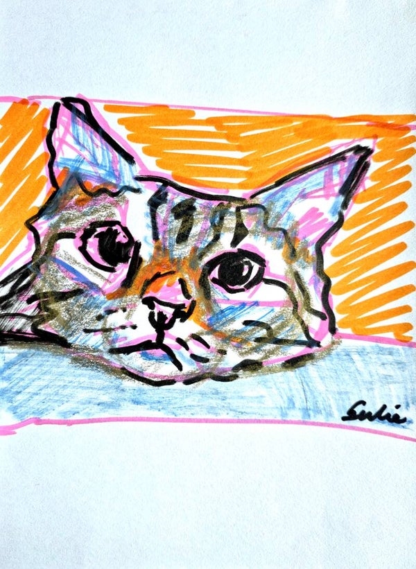 Schets van een kat (XV)