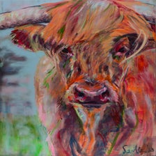 schilderij-schotsehooglander-portret-groot-kleur-standard-69l25u.jpg