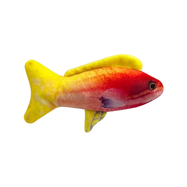 Kittybelles - Rainbow Guppy